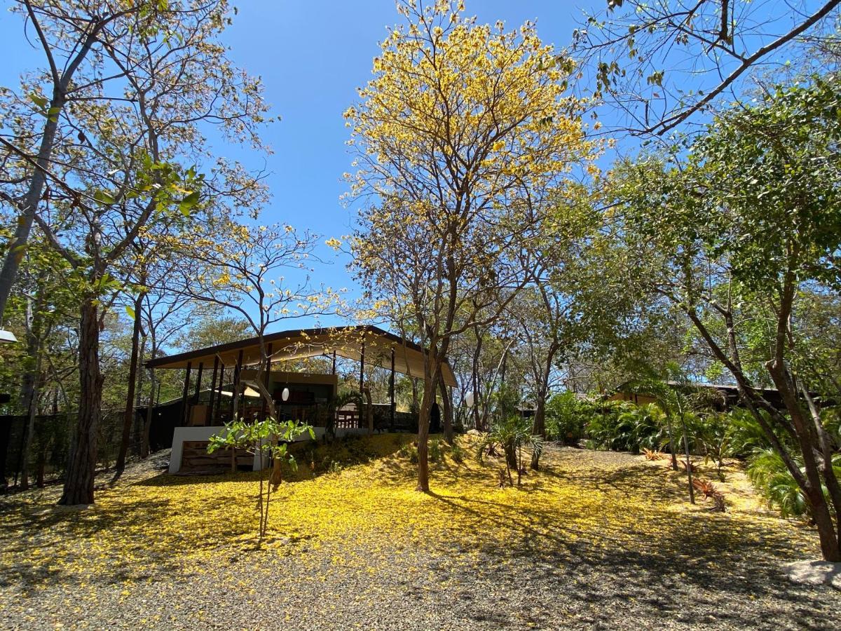 Villas Kalei Плая Гранде Екстериор снимка